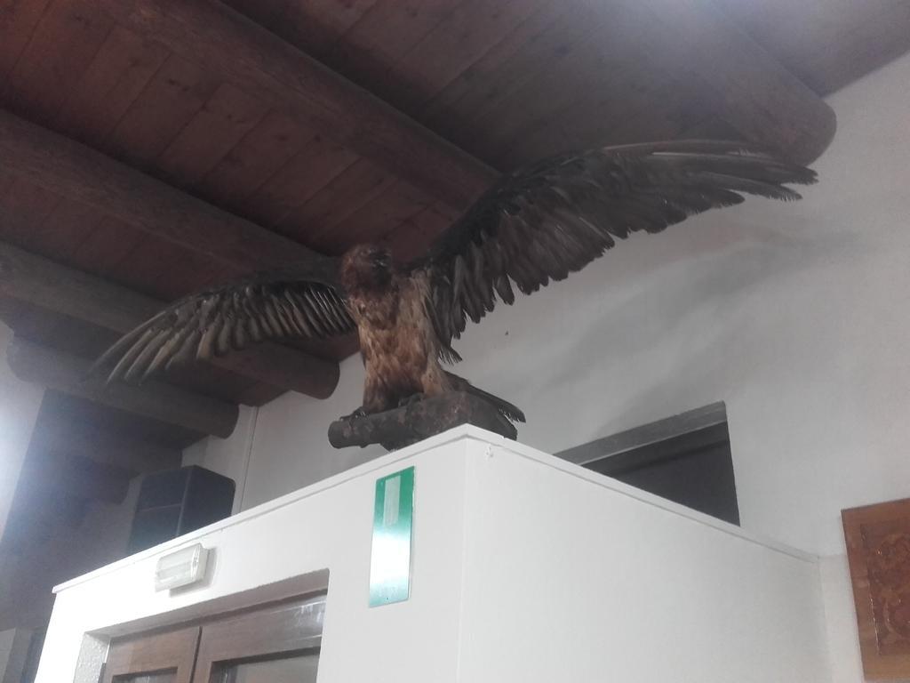 To Ellinikon Apartman Omalósz Kültér fotó